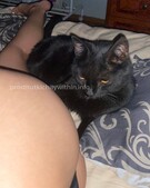 Анкета проститутки Инна - метро Лефортово, возраст - 24